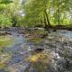 Whispering Creek, Cosby (photo 5)