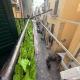 Da Nonna Lia, Palerme - Photo 2