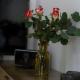 Ferienwohnung Bergliebe, Weißbach - Photo 7