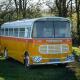Patricia the Maltese Bus at Field of Dreams Melbourne - Fotografie 3