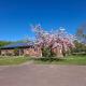Farm-Chalets Apartment Park, Renzow - Foto 1