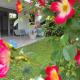 The elegant urban apartment, Athen - Foto 4
