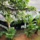 Green Bamboo House, Sigiriya