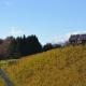 Kröll-Hube, Sankt Johann im Saggautal (фото 10)