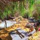 Piuquenes Lodge - Cabañas, Viñedos y estrellas en Horcón, Valle de Elqui, Horcon (foto 5)