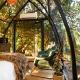 De Nest - Clear Glass Tree Cabin Montagu - Fotografie 4