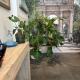 Enjoy Garden - Flavio Baracchini 9 - Rooms, Milan - Photo 1