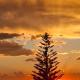 The Monkey Puzzle, Brenton-on-Sea - Photo 4
