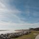 Waves N At by Bryant Real Estate Kure Beach - Photo 6