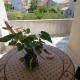 Studio apartment in Bol with balcony, air conditioning, WiFi, washing machine 3634-3 - Fotografie 4