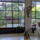 The green nest, Gedera (fotografie 5)