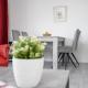 Haus Dieksee Holm Seezauber, マレンテ - 写真 7