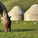 Yurt camp Asman at Song Kol lake, Akchiy (foto 3)