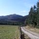 Ferienwohnung Am Waldrand, Schmallenberg - Foto 4