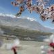 The Crescent Resort, Skardu (foto 7)
