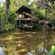 Amazon jungle cabin - satorinatural, Puerto Nariño - Fotografie 1