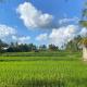 Hening suites Ubud, Mantaak (foto 3)