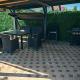 Apartman - sobe Corina-blizu Osijeka, Bilje (zdjęcie 9)