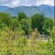 Sweet Happy Life Residence, Braşov - Foto 4