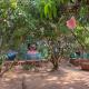 12 Monks - Backpacker Resort, Arambol - Foto 7