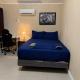 Tutul House