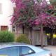 Villa private pool at sokhna stella di mare, アインソフナ - 写真 3
