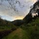 Accommodation in Cerro Punta, Cerro Punta - Fotografie 8