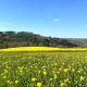 Eifel Refugium Hübsch, Halenbach - Foto 4