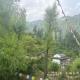 The Cozy Cabin, Jibhi, Banjār - Foto 3