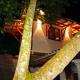 Paradise Villa & Guest House, Angulugaha (foto 9)