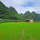 Kim, Cao Bằng (foto 2)
