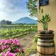Vesuvio Inn Guest House e Wine Experience