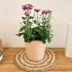Apartment Südwind - Beautiful premium apartment with 2 bedrooms near Rhine Falls & Zurich Airport in Klettgau, Klettgau (Foto 9)