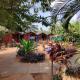Beach side Cottages - Pousada, バガ - 写真 1