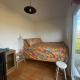 Shepherds hut in 7 acre field, Ludworth (fotografie 8)