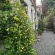 Loft Crimea con patio, Torino - Foto 1
