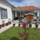 Apartman Villa Ruža, Golubac (foto 5)
