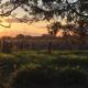 Los Deseos - Genuinamente Campo, Torres (Foto 3)