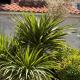 Apartment BIGGY, Cavtat (photo 8)