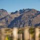 Jacks point living - Queenstown, Frankton - Fotografie 7