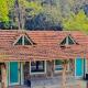 Genderless Jungle, Matale