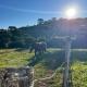 Casa de Campo Fazenda Invernada Grande, ボン・ジャルジン・ダ・セーハ - 写真 2