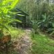Forest Love, Quepos (fotografie 5)