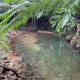 Luxurious rainforest lodge in FNQ, Jogo (fotografie 9)