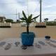 Marty's Home - Villetta vicino al mare, Fontane Bianche (fotografie 8)