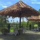 Guesthouse Thalassa, Bunaken (Foto 3)