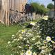 Villa Adishatz, new house, pool & garden, Hourtin (fotografie 6)