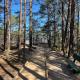 Sweethome Jurmala - Photo 5