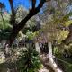 Seaside Jungle Retreat, Nice - Fotografie 10