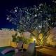 BGC Venice Grand Canal Staycation, Manila - Fotografie 5